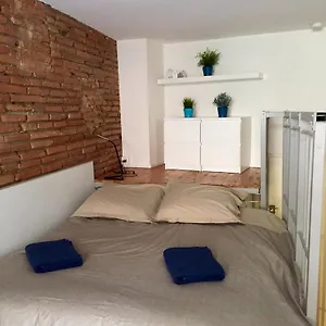  Appartement Le Petit Moulin, Duplex Hypercentre