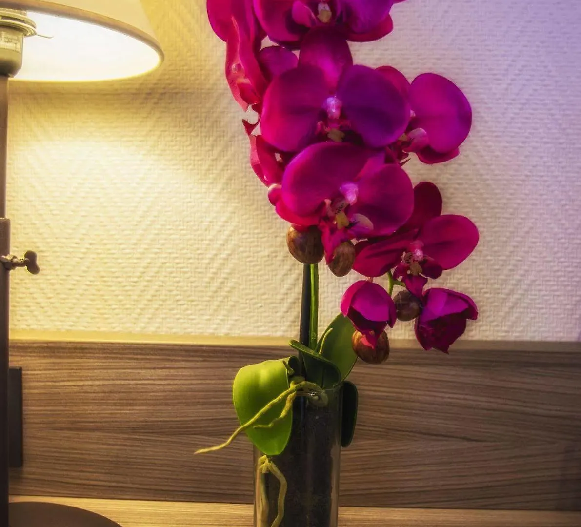 ***  Hotel Akena Toulouse Le Prado - Proche Zénith France